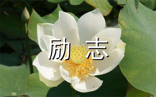 形容和朋友相聚很开心的句子
