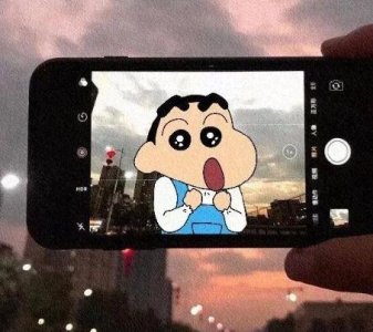 ​花的优美语句96条
