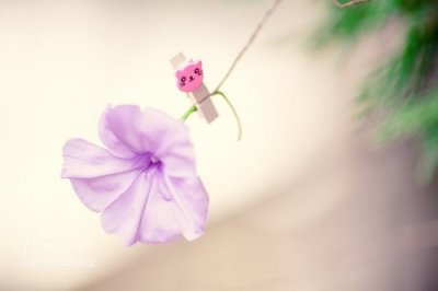​关于命运的经典句子78句
