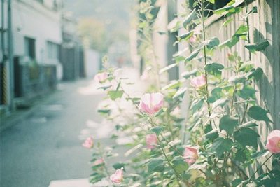 ​描写老师的语句80句