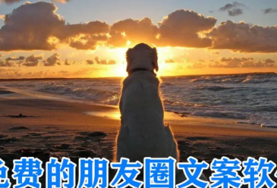 ​发樱桃的朋友圈的配文(优选88句)