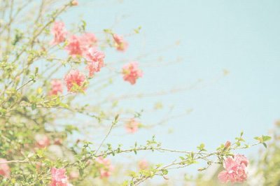 ​说说文字朋友圈84句