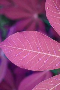 ​宅在家适合发圈的说说 宅在家的朋友圈句子[48句]