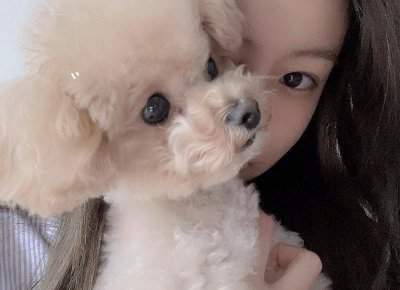 ​母亲节短句摘抄文段汇总76句