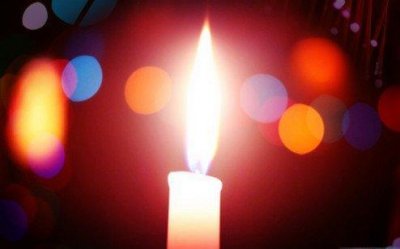 ​常用花的优美语句99条