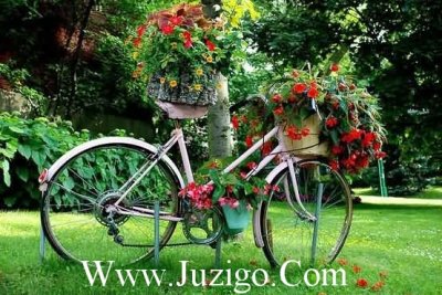 ​成长的句子经典语录100句