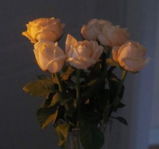 ​朋友圈谷雨时节唯美文案(精选94句)