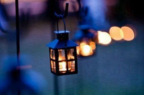 2025年常用花的优美语句合集99条