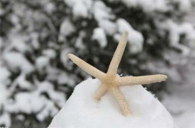 ​祝父亲节快乐的句子