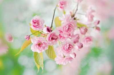 ​适合中秋节发朋友圈的句子(82句)