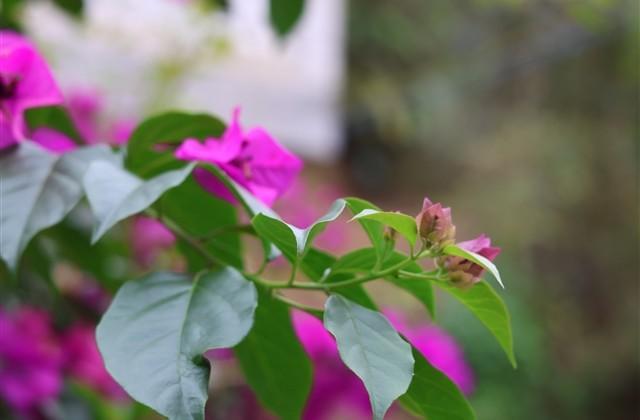 2025失眠高情商发朋友圈文案 2025失眠高情商发朋友圈文案