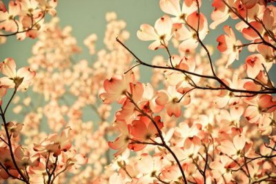 ​2026元旦节简单的话发朋友圈(精选92句)