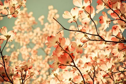 2023元旦节简单的话发朋友圈(精选92句)