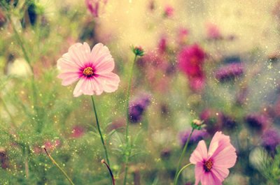 ​2月第一天寄语说说句子大全(精选75句)