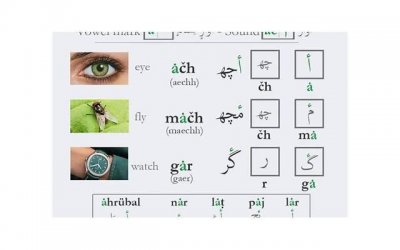 ​放烟花说说朋友圈 烟花的唯美句子(精选48句)