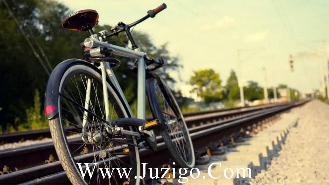 2023植树节唯美的句子  关于植树节优美的说说