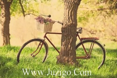 ​暖心系说说43句