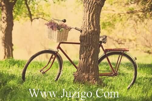 暖心系说说43句