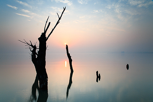 微商朋友圈说说62句