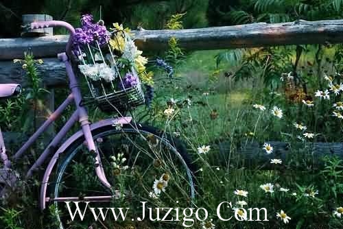 爸爸生日说说(精选25句)