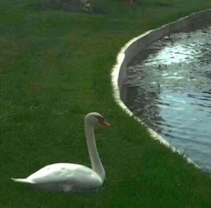 ​生日说说给自己成熟