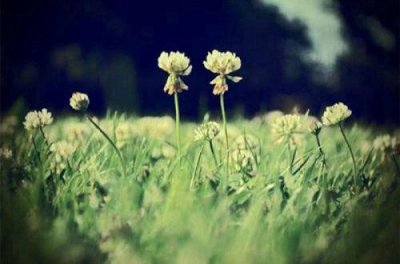 ​2026七夕情人节伤心说说心情(孤孤单单人说说)