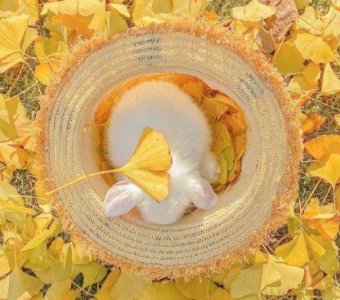 ​开心的心情说说100句