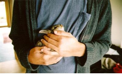 早安语录恋人简约创意文案