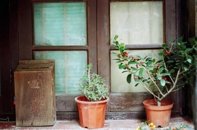 ​骂人的脏话越难听越好 说脏话骂人的检讨书600字