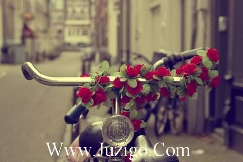 吸引人的晚安朋友圈文案 日常发朋友圈的文案(精选59句)