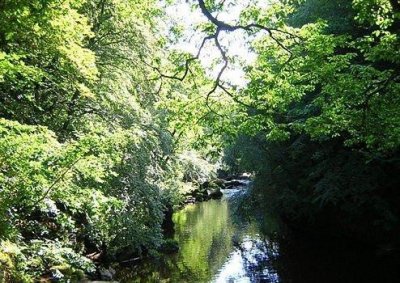 ​很压抑的一句文案 活得好累好压抑的句子(82句)