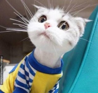 ​跟女朋友道歉的话 给朋友的道歉信(60句)