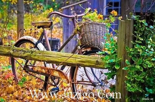 从此不再想你的说说从此不再有你的说说(精选23句)