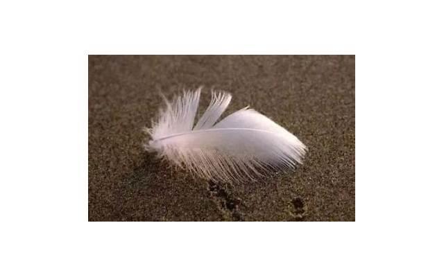 对旧爱的想念的句子（夫妻情话说说经典语录）