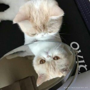 ​qq空间交友说说