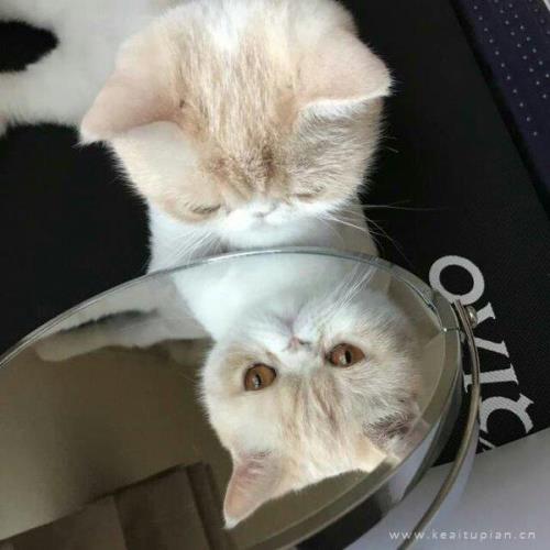 qq空间交友说说