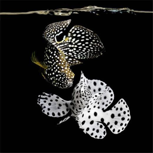 qq空间交友说说