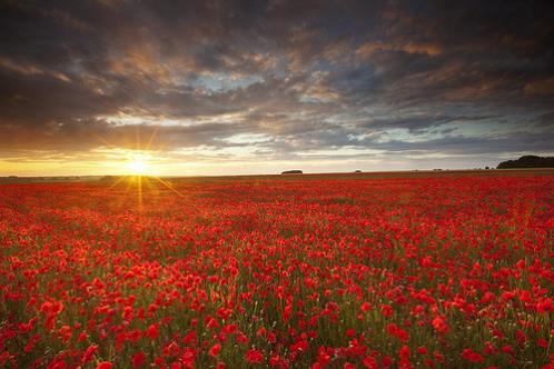 心很烦的句子发朋友圈