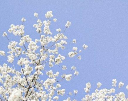 今日说说励志短句子