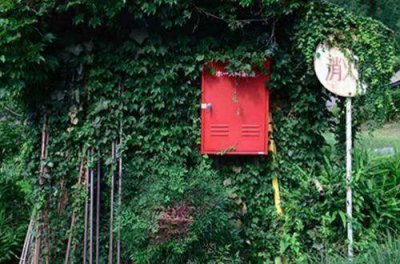 ​发朋友圈伤心的一段话(精选35句)