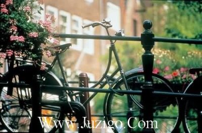 ​宝宝2岁生日简短感言宝宝2岁生日朋友圈感言(精选21句)