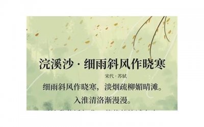 ​关于重阳节的诗词（关于重阳节的古诗句有哪些）