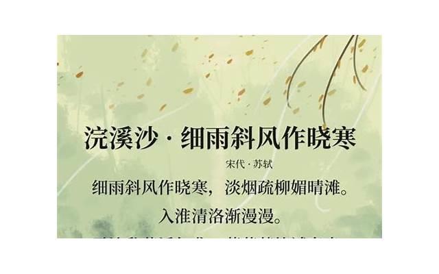 关于重阳节的诗词（关于重阳节的古诗句有哪些）