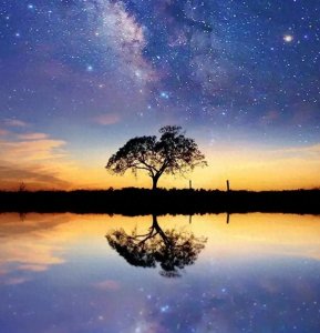 ​带有“星”字的古诗词句子大全（05）