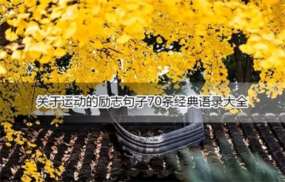 ​关于运动的励志句子70条经典语录大全