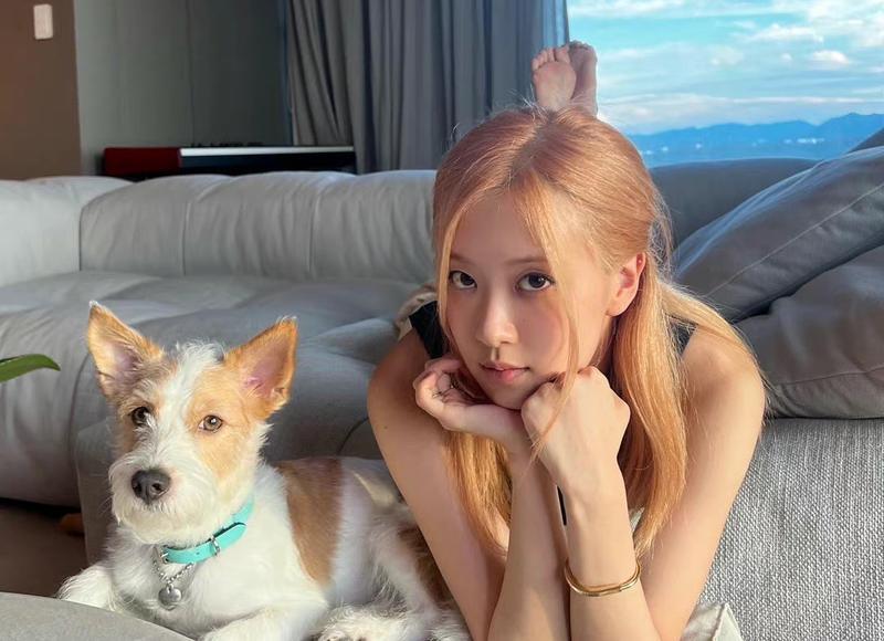 套路朋友的段子的对话（精选20句）