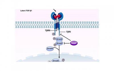 ​关于年尾的文案(热门50句)