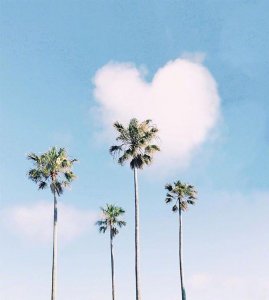 ​人生感悟语录文案（24句写尽人生的经典短句）