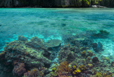 ​女生伤感说说（精选推荐）