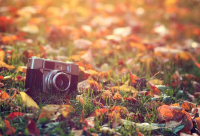 ​520朋友圈搞笑文案【集锦】